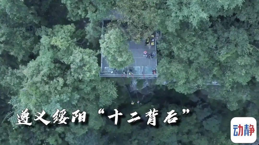 听说腊肉吃多了致癌是真的吗？游戏画面